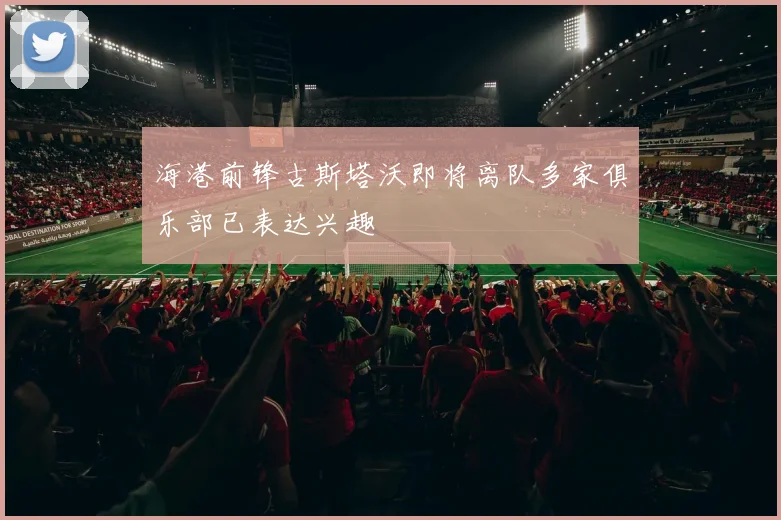 海港前锋古斯塔沃即将离队多家俱乐部已表达兴趣