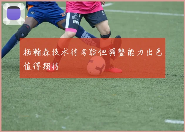 杨瀚森技术待考验但调整能力出色值得期待